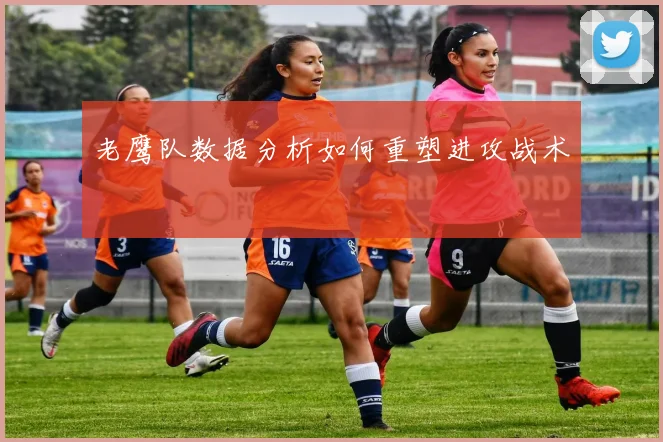 老鹰队数据分析如何重塑进攻战术