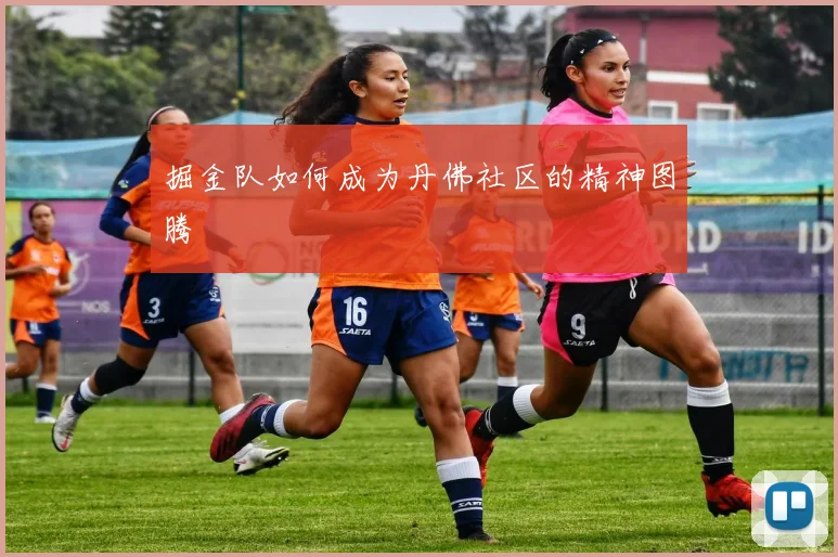 掘金队如何成为丹佛社区的精神图腾