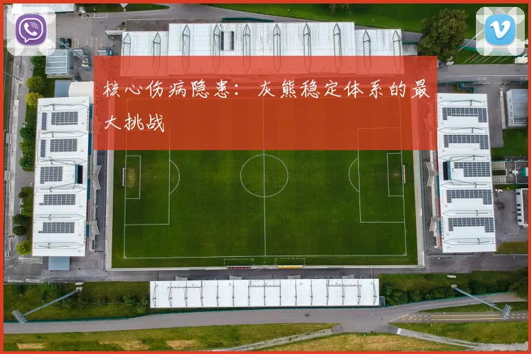 核心伤病隐患：灰熊稳定体系的最大挑战