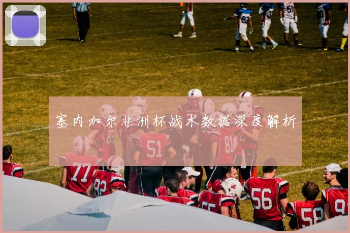 塞内加尔非洲杯战术数据深度解析